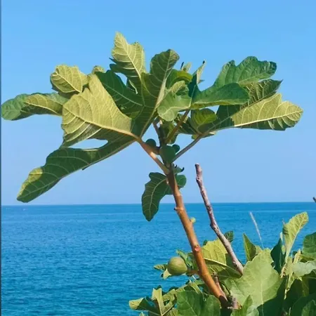 Appartamento Casa Li Fiumi Castro (Lecce)